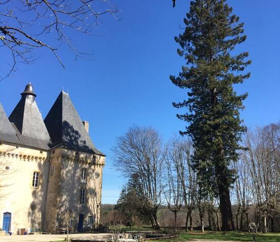 © Château de Mavaleix