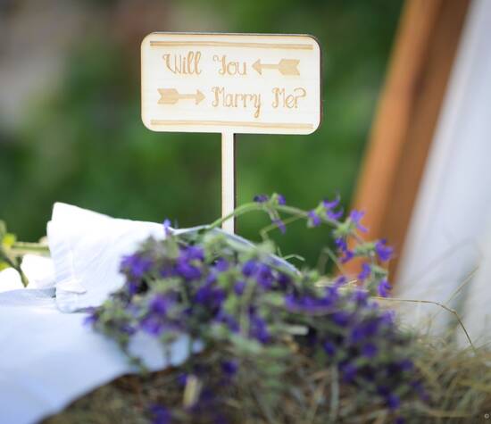 Décor Photo booth - will you mary me ?