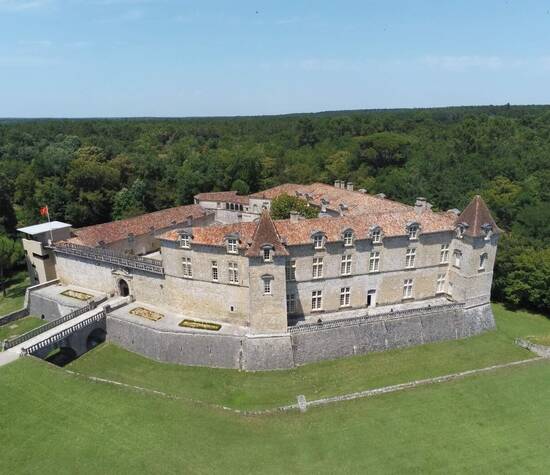 Château Royal de Cazeneuve (vue aérienne)