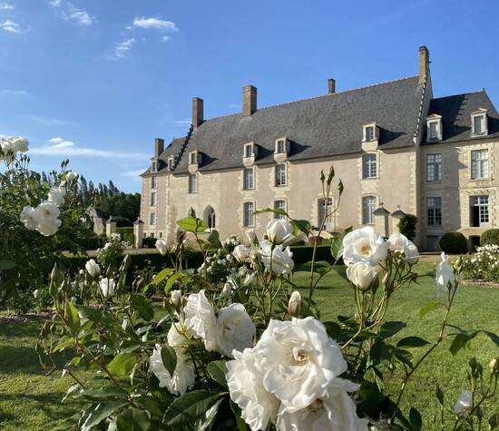 Jardin à la française avec les roses en fleurs
