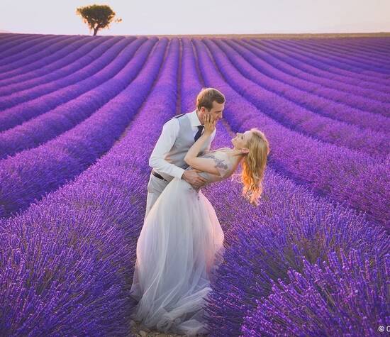 Photo de mariage, France, Provence