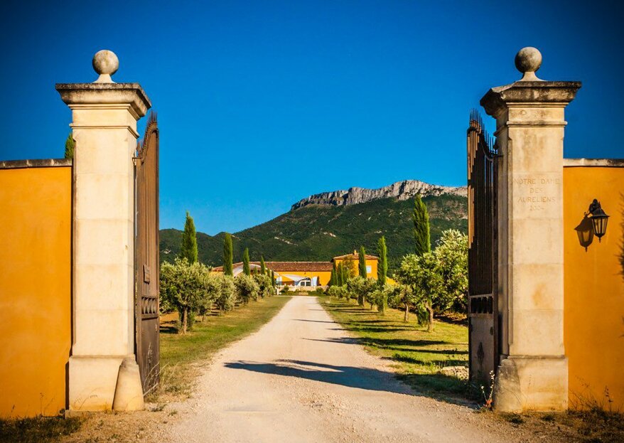 Mariage en Provence : misez sur le décor idyllique qu'offre Le Mas des Auréliens