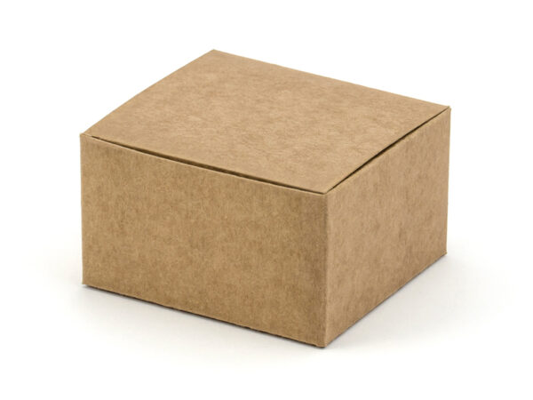 Boîtes & Sachets Carton carré en papier kraft : 10 unités