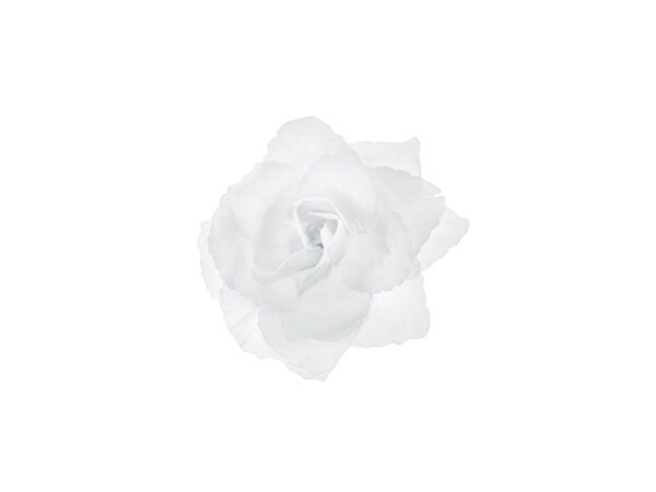 Décoration Mariage Roses blanches pour la décoration de mariage : 24 Pcs.